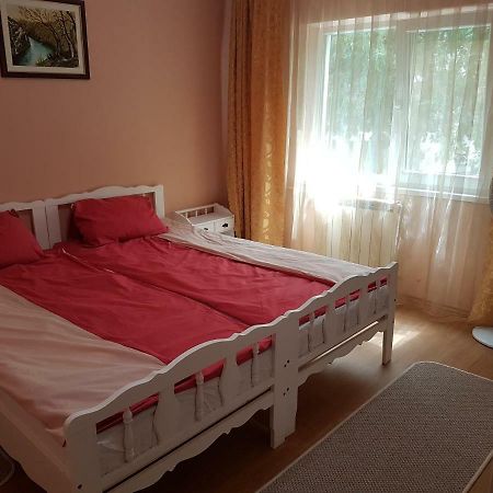 Apartament Aura Apartment Oradea Ngoại thất bức ảnh